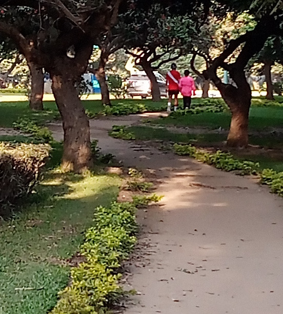 The park of happiness